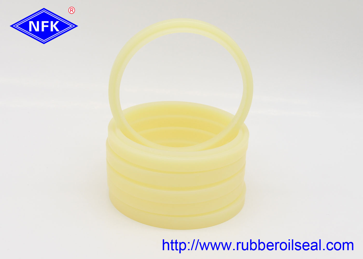 DSI DKBI DKBI3 DKBZ Hydraulic Dust Seals For Heavy Load Hydro Cylinder