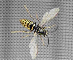 Quality Stainless Steel Window Screen factory wholesale