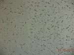 600*600mm Spray Coating Acoustic Mineral Wool Fiber Drop Ceiling Tiles for