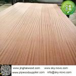 sapele plywood