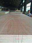 marine plywood high quality