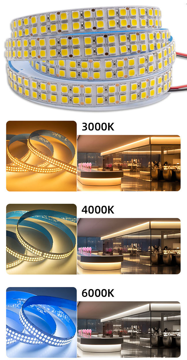 Non-waterproof Ip20 Flexible Led Lights Double Row 12v Voltage And Epistar Chip