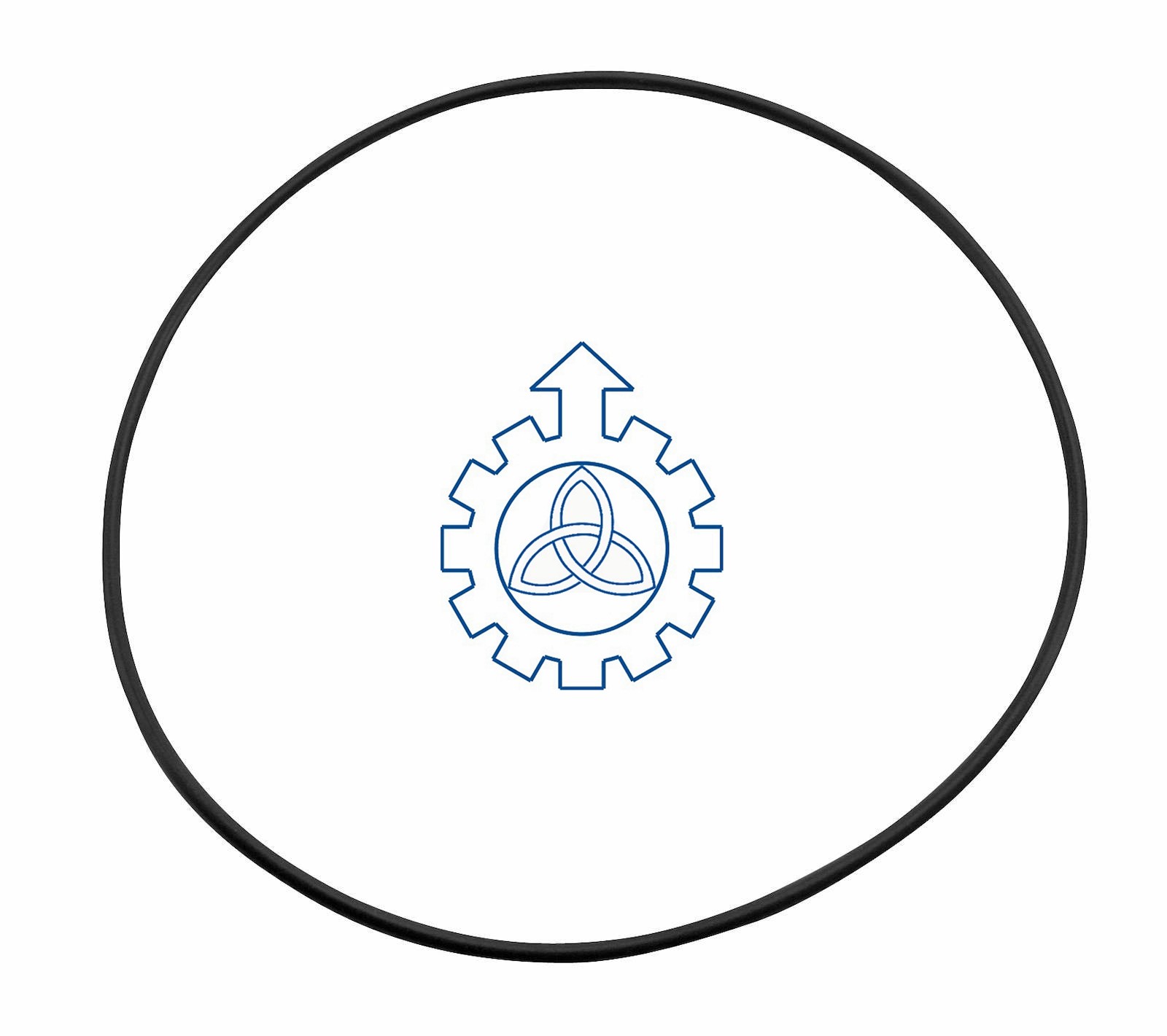 O-ring 925266,42102399