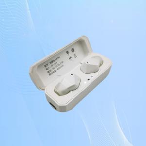Quality 4 Programs Invisible Ear Machine OTC Hearing Aid For Old Age 0.52inch wholesale