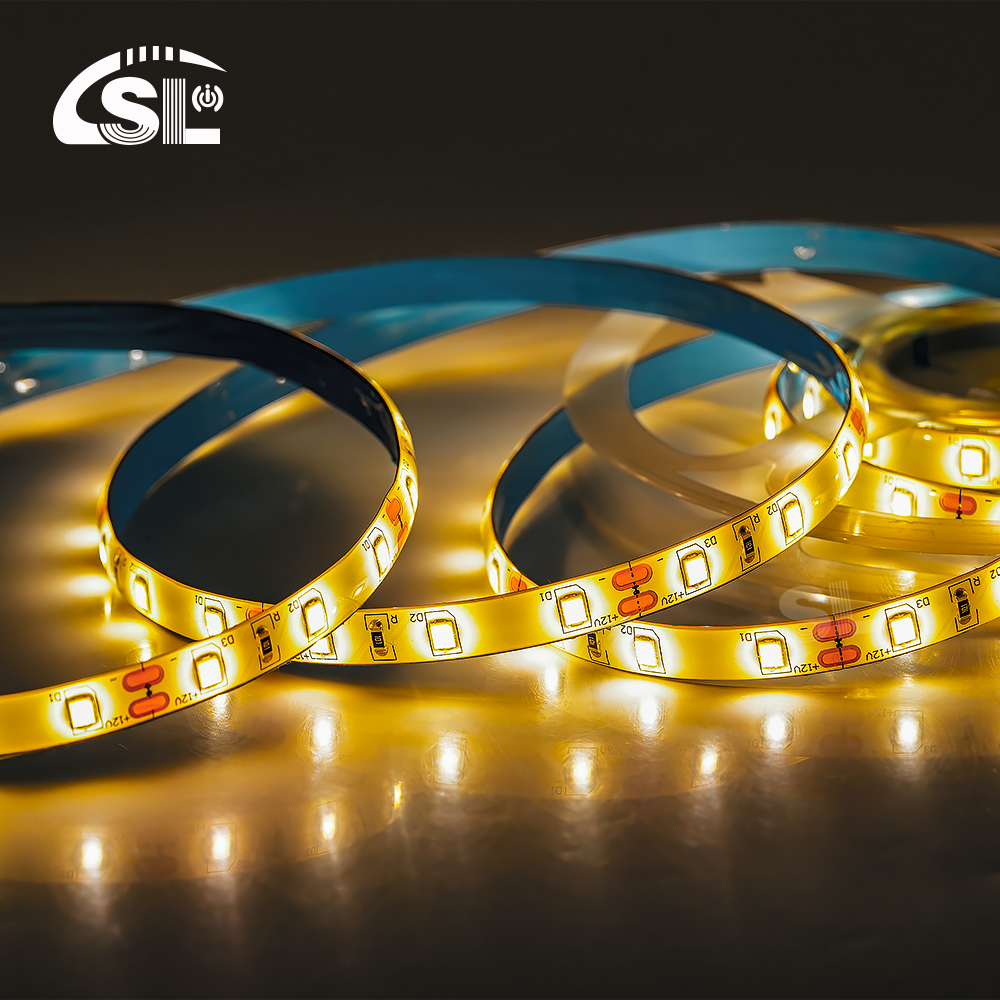 Waterproof 2835 120Led 12V 24V 3000K 4000K 6000K 80 CRI Neon Smart Led Strip Light