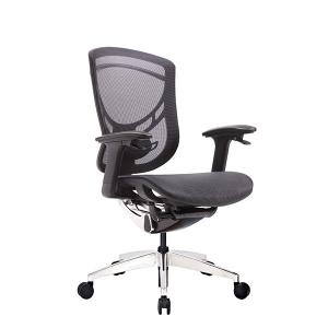 Quality Adjustable Lumbar Support Sliding Seat 3D Armrest Ergo Desk Chair wholesale