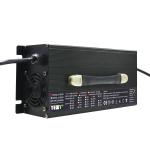 ODM Versatile High Power Battery Chargers Lead Acid 25A 60 Volt