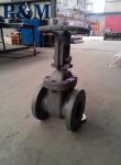 ANSI 125lb cast iron gate valve factory