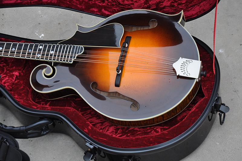 Handmade custom advanced 8 strings QT-F5 mandolin electric guitar with ebony fretboard