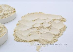 Quality Dried Vital Wheat Gluten Meal , Light Yellow 85% Protein Content wholesale
