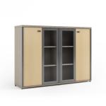 IP40 Rated Glass Door Filing Cabinet with Password Lock and Customizable
