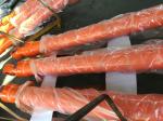 hydraulic cylinder piston
