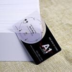 Printing Plastic PVC Card ABS PET Transparent for Business CMYK Color