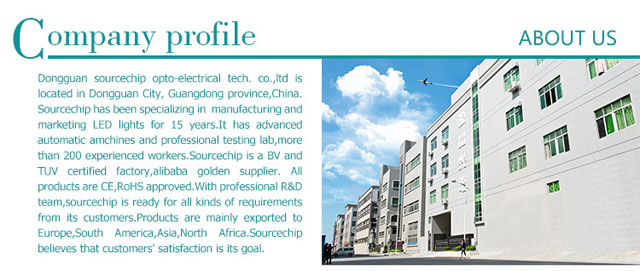 High efficiency led bulb supplier