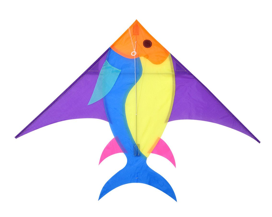Fish Pattern Delta Wing Kite Single Line Type Easy Assembled For Beginner