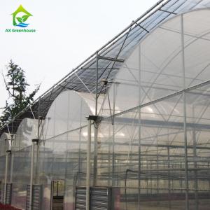 Quality Chinese Plastic Film Greenhouse For Large Area Farming Growing wholesale