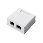 Plastic Cat6 2port FTP Keystone Jack Female Connector for Smooth Network