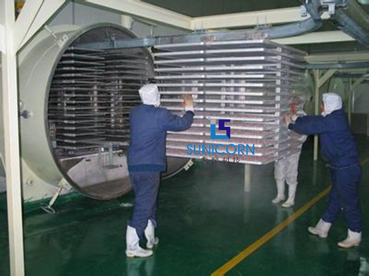 High Safety Industrial Freeze Dried Fruit Machine 6600*2100*2100mm