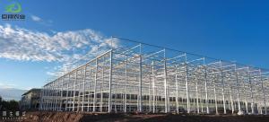 Quality Tunnel Cultivation Method Multi Span Greenhouse with Hot-DIP Galvanized Steel Pipe wholesale