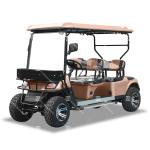 LSV 4 Searter Golf Cart Chinese OEM Maximum Performance Wholesale Electric