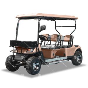 Quality LSV 4 Searter Golf Cart Chinese OEM Maximum Performance Wholesale Electric Vehicle wholesale