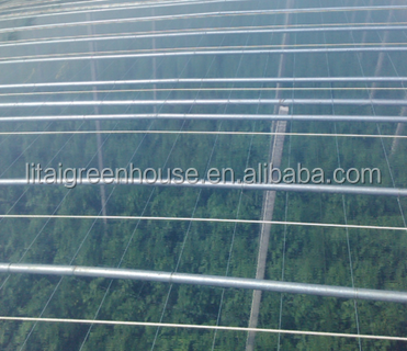 Film Covered Galvanized Greenhouse for Stable Structure and Vegetable Cultivation