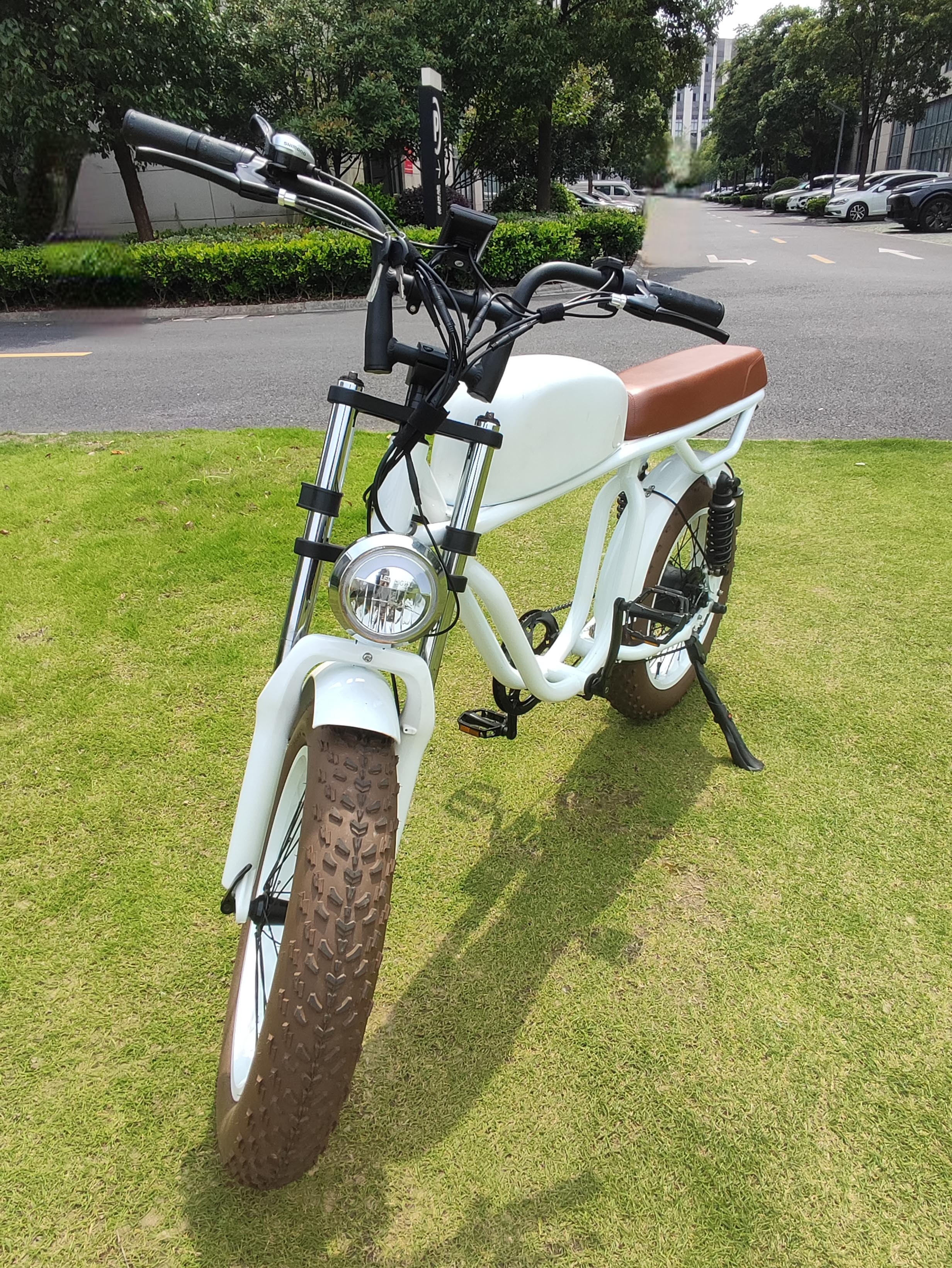 LCD Display Electric Bike with 48V Battery 750W 1000W Motor 7 Speed and Vintage Style