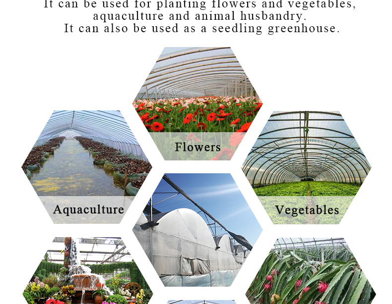 PO Film Double Layer Hydroponic Container for Superior Plant Growth Results