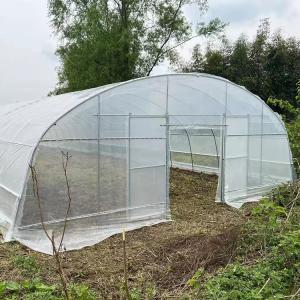 Quality Strawberry Growing Side Ventilation Single Span Greenhouse For Agriculture wholesale