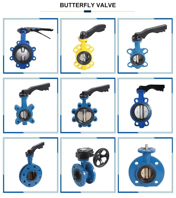 1 Inch Sanitary Stainless Steel Pneumatic Butterfly Valve with Customized Structure