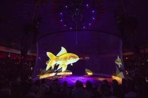 Quality Invisible Hologram Projector Screen Polyamide Material Fireproof Seamless 30m Length wholesale
