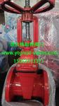 (ANSI) Cast Iron Gate Valve Flanged Ends