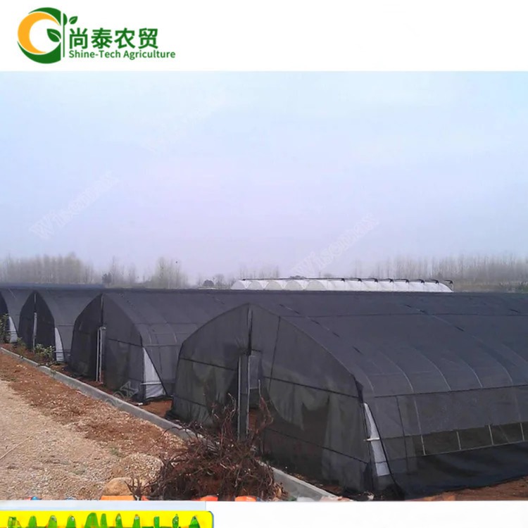6m-10m Width Single Layer High Strength Poly Tunnel Greenhouse For Tomato Production