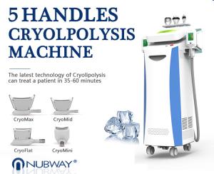 Newest-designed!!! The most featured Cryolipolysis Slimming Machine Green Vertical