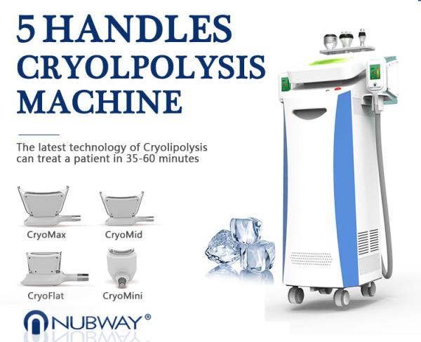 Cheap Newest-designed!!! The most featured Cryolipolysis Slimming Machine Green Vertical for sale