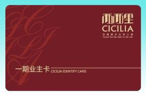 Quality Mini MF1 IC S20 chip Card wholesale