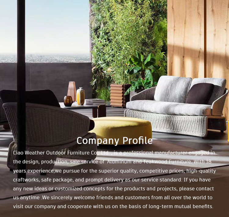 Mail Packing Simple Modern Rattan Sofa Set for Courtyard and Balcony