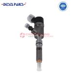Common Rail Fuel Injector 0 445 110 844 Diesel Injector Assembly 0445 110 844