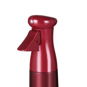 Quality Customized Request Fine Mist Sprayer 300ML for Continuous Salon Cosmetic Beauty Bottle wholesale