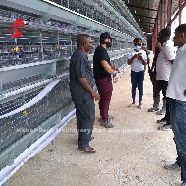 A H Type Automatic Laying Chicken Poultry Farming Cage System In Africa Market