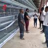 Buy cheap H Type Layer Battery Cage System 4 Rows Layer Poultry Farm Equipment CE Approval from wholesalers