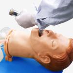 Fully Functional Cpr Training Manikins Airway Management Model