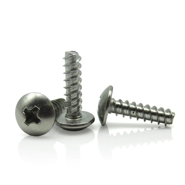 Stainless Steel 304 316 Truss Pan Phillips Umbrella Head Mushroom Head Self