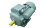 Capacitor Starting Electric AC Asynchronous Motor Single Phase 220v 50hz YC