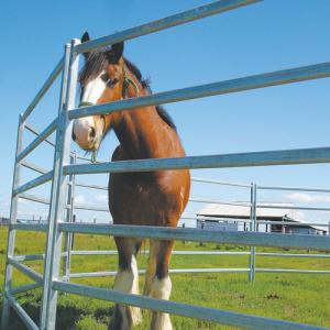 Quality 22 Panel Horse Yards Inc Gate,Horse Arenas, Cattle Fences, Corral, 15m Diameter wholesale