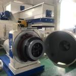 20TPH 5mm Vertical Pellet Mill 508 Small Wood Pellet Maker