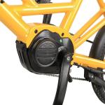 20 Inch Retro Dual 250W Electric Cargo Bike 7 Speed 36V 7.8Ah Lithium Battery