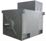3.3KV to 13.8KV 500kw-3000kw High Voltage Alternator Brushless AC Alternator