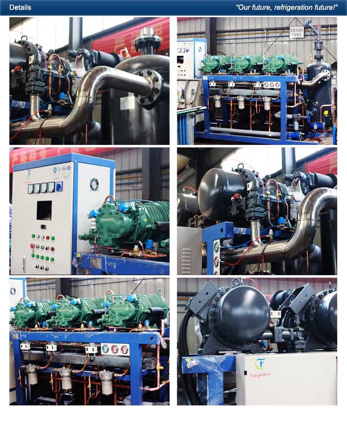 Beef Pre - Refrigerated Cold Store Cold Room Compressor Unit Fusheng Brand