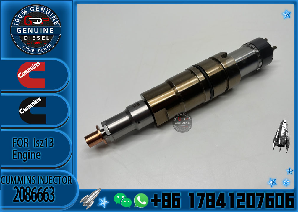 2029622 Genuine Diesel Common Rail Fuel Injector 1948565 2030519 2031836 2031835 2086663
